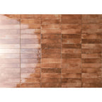 Mojave 60x250 Gloss Cotto Subway