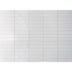 Mojave 60x250 Gloss White Subway Sample