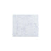 Marble Mosaic Rectangle 60x200mm Tumbled Carrara