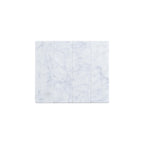 Marble Mosaic Rectangle 60x200mm Tumbled Carrara Sample