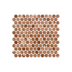 Artemis Mosaic PennyRound 23x23mm Natural Stone Honed Brown Sample