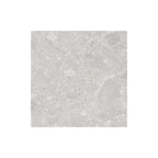 Studio Terrazzo 450x450 Matt Grey Terrazzo Look Rectified