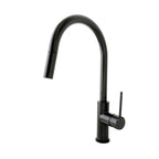 ADP Bloom Pull Kitchen Mixer Matte Black