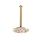 ADP Bloom Shower Rose & Dropper Brushed Brass