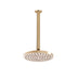 ADP Bloom Shower Rose & Dropper Brushed Brass