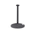 ADP Bloom Shower Rose & Dropper Brushed Gunmetal