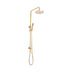 ADP Bloom Shower Set Brushed Brass
