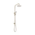 ADP Bloom Shower Set Brushed Nickel
