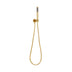 ADP Bloom Hand Shower on Hook Brushed Brass