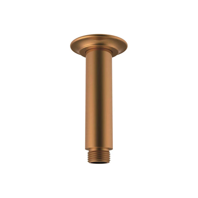 ADP Eternal Shower Dropper 100mm Brushed Brass Shower ADP Default Title  