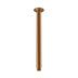 ADP Eternal Shower Dropper 300mm Brushed Brass