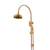 ADP Eternal Gooseneck Twin Shower Set Brushed Brass
