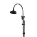 ADP Eternal Gooseneck Twin Shower Set Matte Black