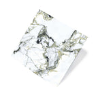 Lush 3D Touche 600x600 Natural Jade Marble Look Rectified