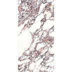 Lush 3D Touche 1200x600 Natural Rubis Marble Look Rectified
