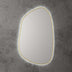 Tarcoola Asymmetric LED Mirror 553x903x36mm Brushed Gold