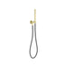 Nero Zen SS316L Shower On Bracket With Outdoor Shower Hose Brushed Gold