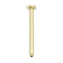 Nero Zen SS316L Round Ceiling Arm 300mm Length Brushed Gold