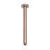 Nero Zen SS316L Round Ceiling Arm 300mm Length Brushed Bronze