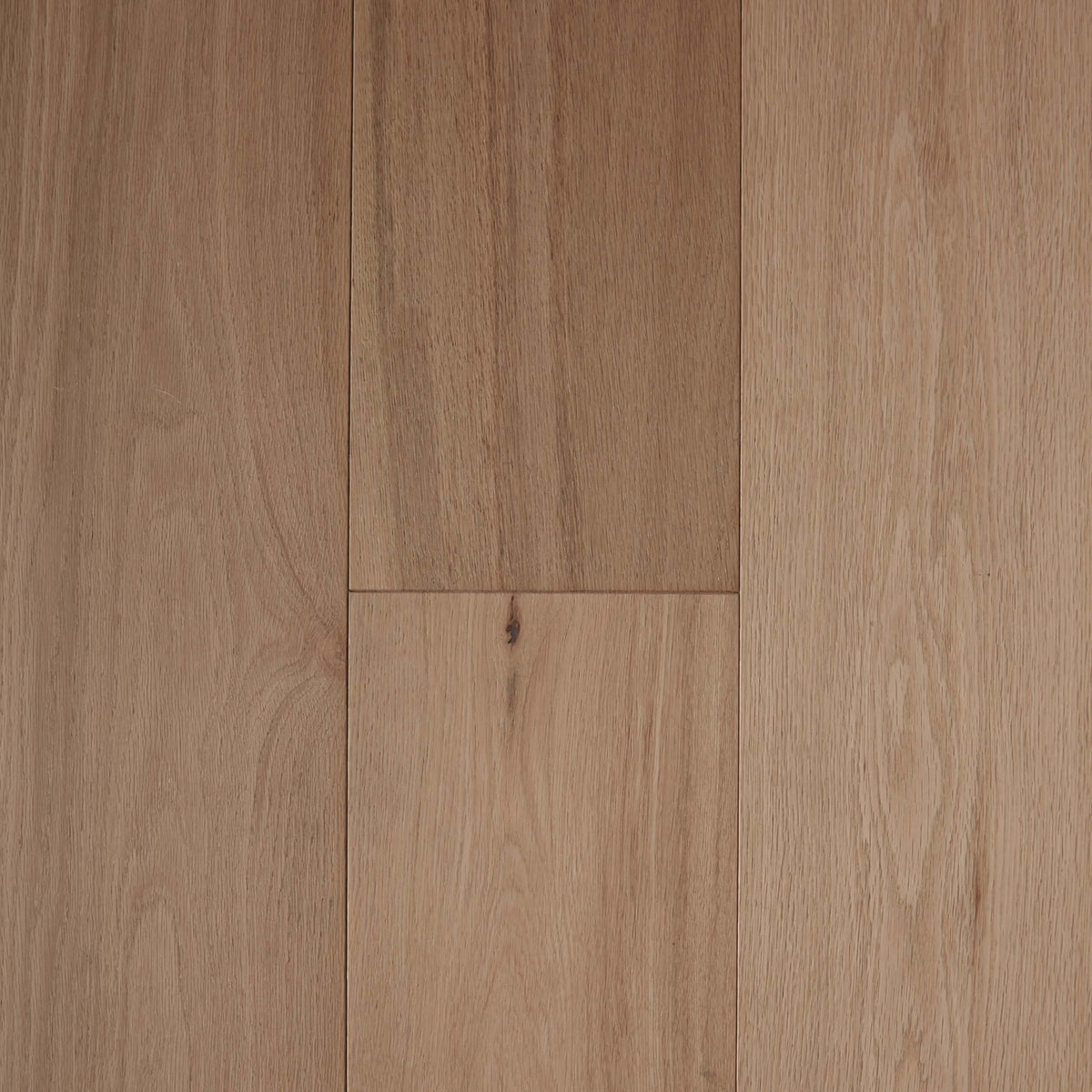 Parchment European Oak engineered flooring 1900x190mm with matte finish and natural grain by Tilemall