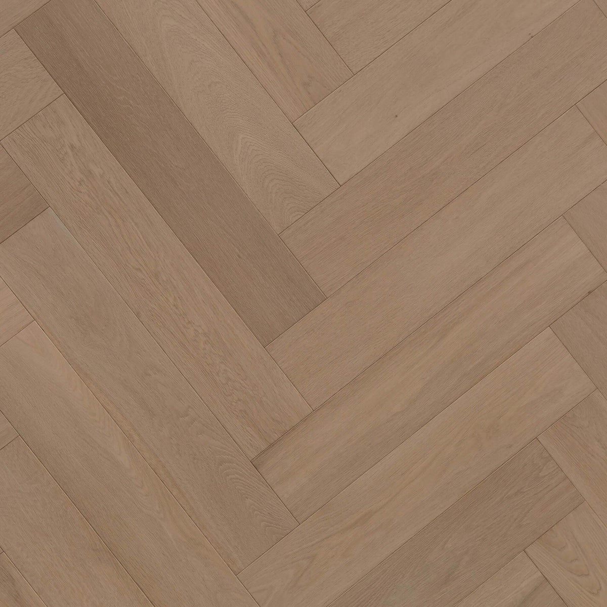 Pronto European Oak Misty Cove 600x120mm herringbone engineered flooring with matte finish by Tilemall