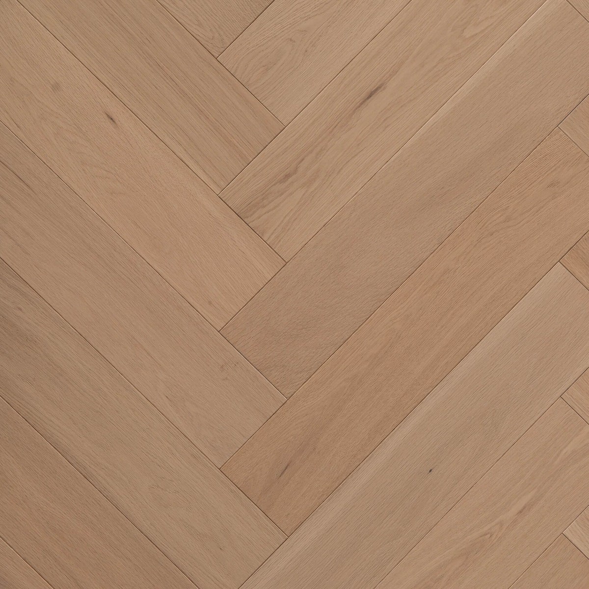 Parchment European Oak engineered flooring 600x120mm in herringbone pattern with matte finish by Tilemall