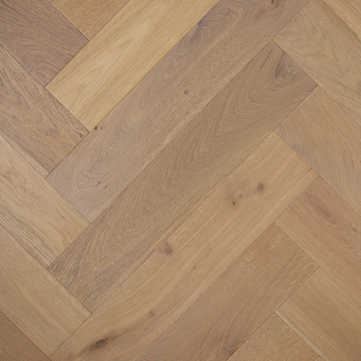 De Marque European Oak Colonial Grey 600x120mm engineered flooring in herringbone pattern with matte finish by Tilemall