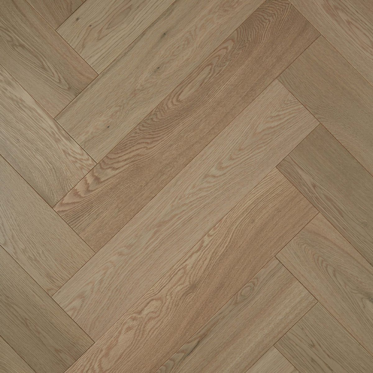 Parana European Oak 600x120mm engineered flooring installed in herringbone pattern with matte finish by Tilemall