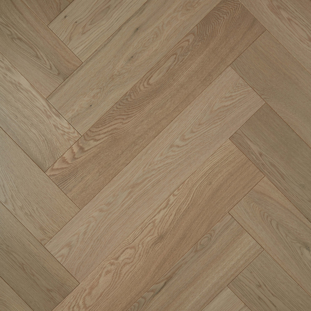 Parana European Oak engineered flooring 600x120mm in herringbone pattern with matte finish by Tilemall