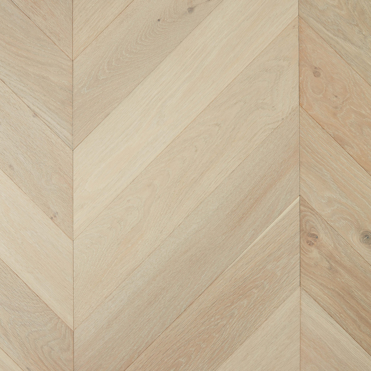 De Marque European Oak Chateau Grey 600x120mm engineered flooring in chevron pattern with matte finish by Tilemall