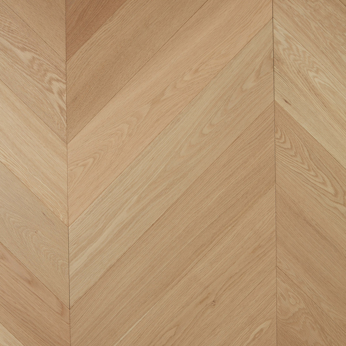 De Marque European Oak Pure Natural 600x120mm engineered flooring in chevron pattern with matte finish by Tilemall