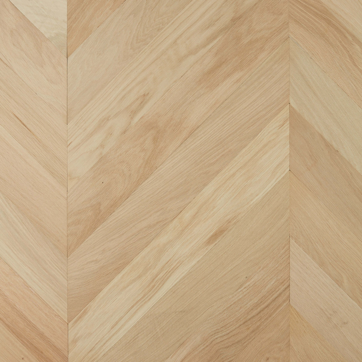 Raw European Oak 600x120mm chevron engineered flooring by Tilemall with matte finish