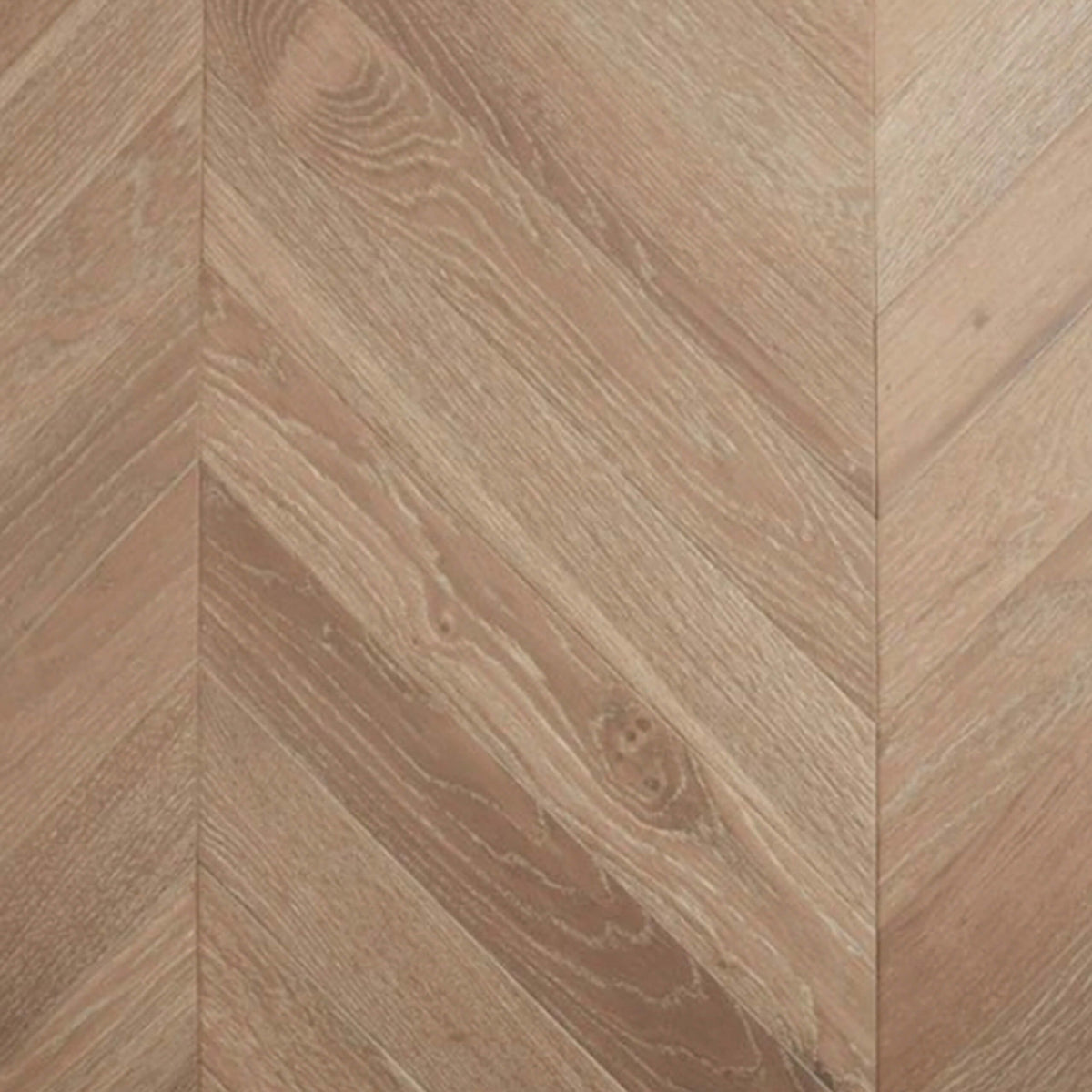 Riesling European Oak chevron engineered flooring 600x120mm with matte finish by Tilemall