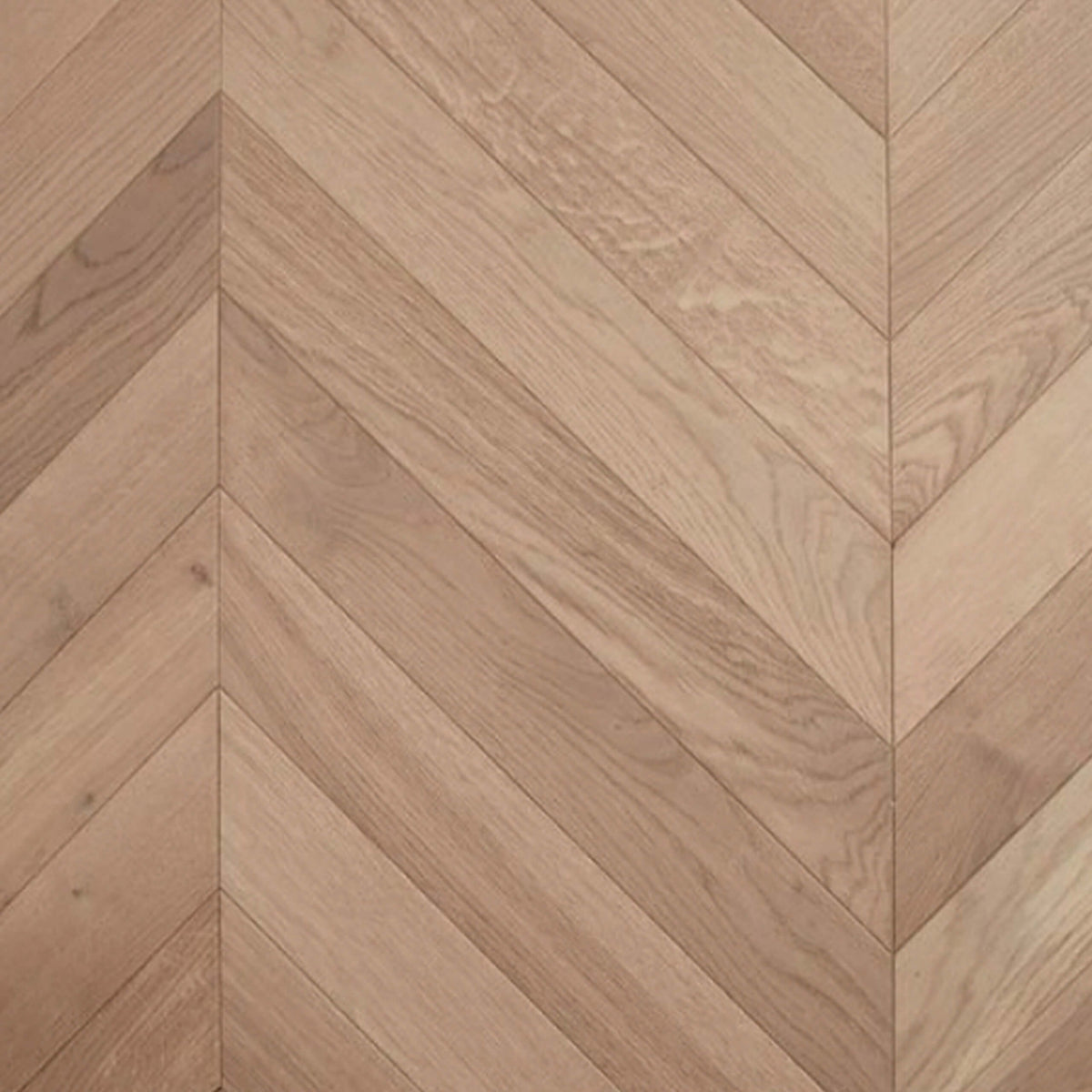 Sauvignon European Oak chevron engineered flooring 600x120mm with matte finish by Tilemall