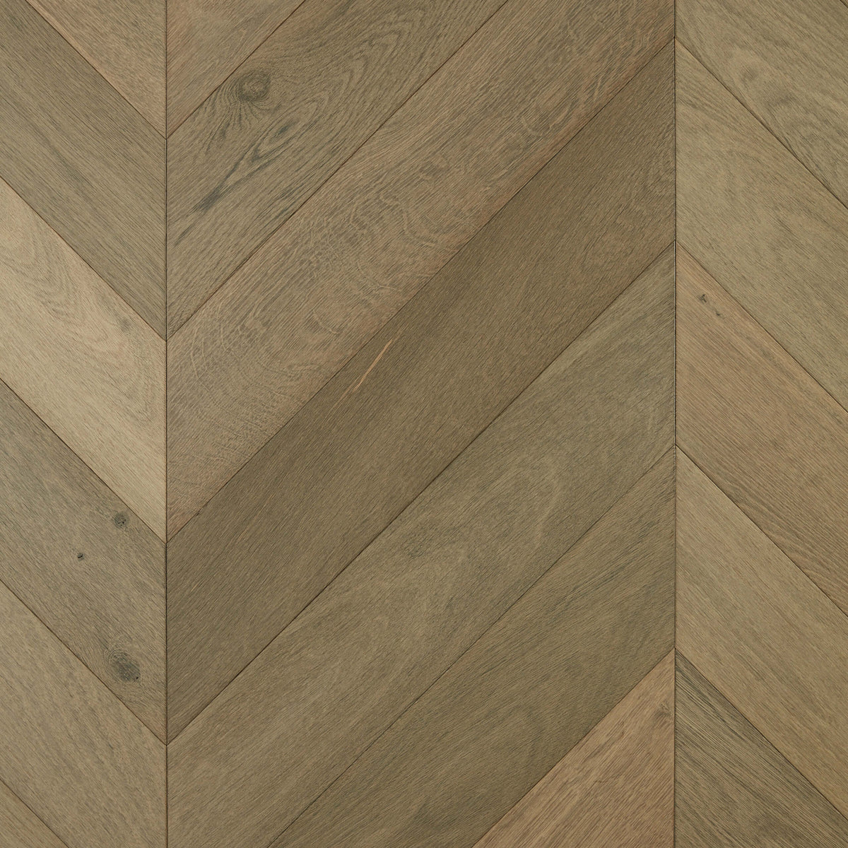 Storm European Oak chevron engineered flooring 600x120mm with matte finish and timber grain texture by Tilemall