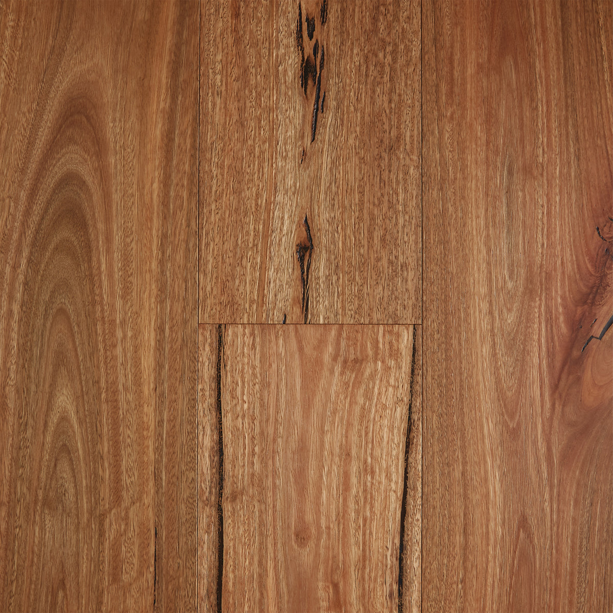 Spotted Gum engineered timber flooring 1860x125mm with wire-brushed matte finish and natural knots by Tilemall