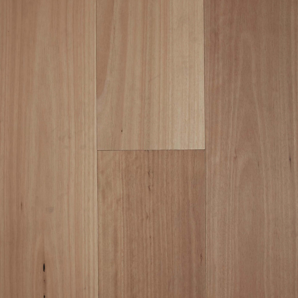 Blackbutt engineered hardwood 1860x189mm planks with matte finish and subtle timber grain by Tilemall