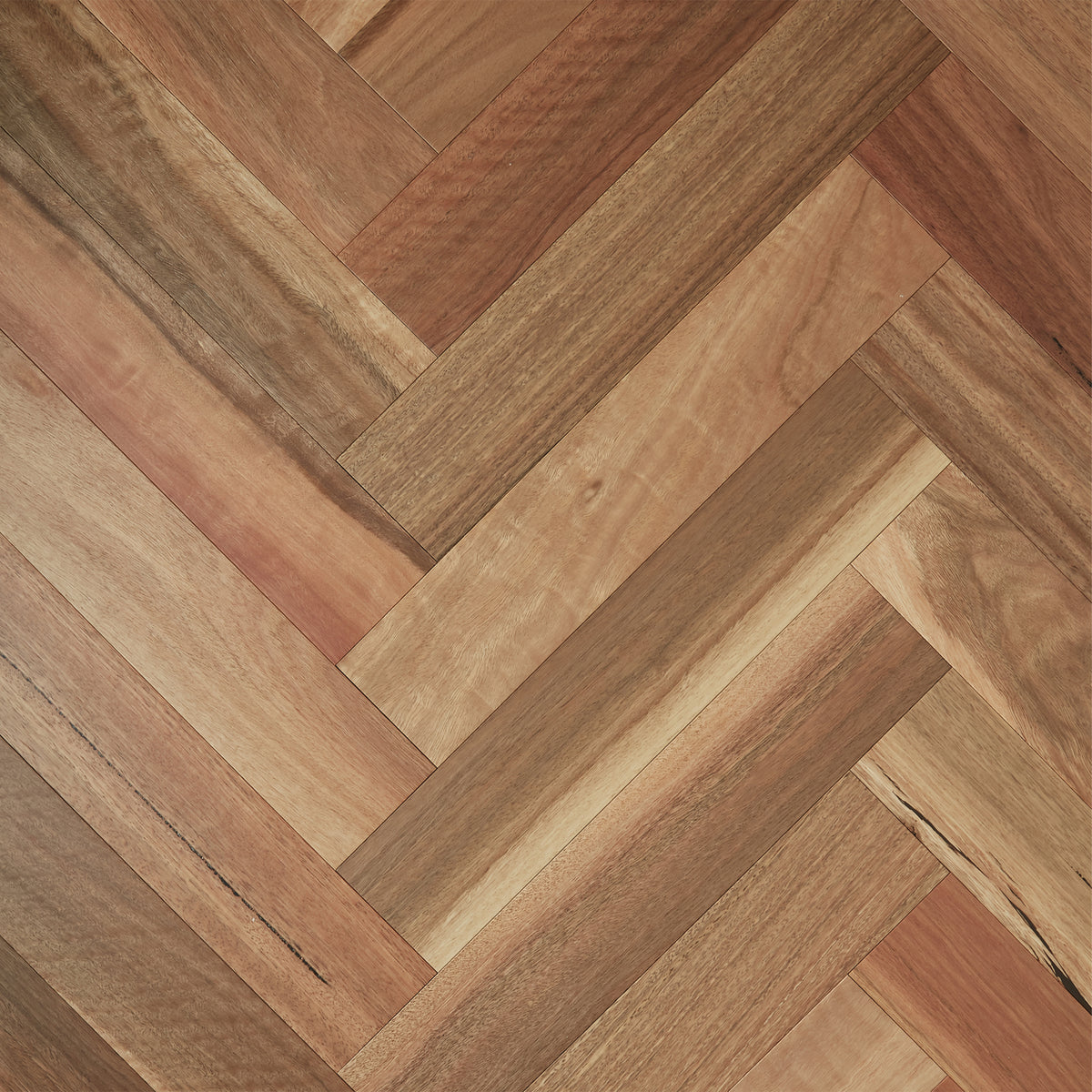 Spotted Gum engineered hardwood in herringbone pattern showing brushed matte finish and natural colour variation by Tilemall