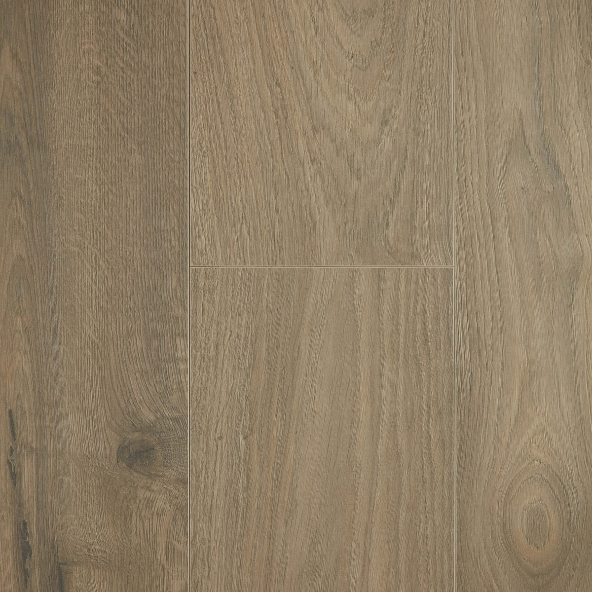 Forest laminate flooring 2025x244mm with matte finish and embossed timber grain by Tilemall