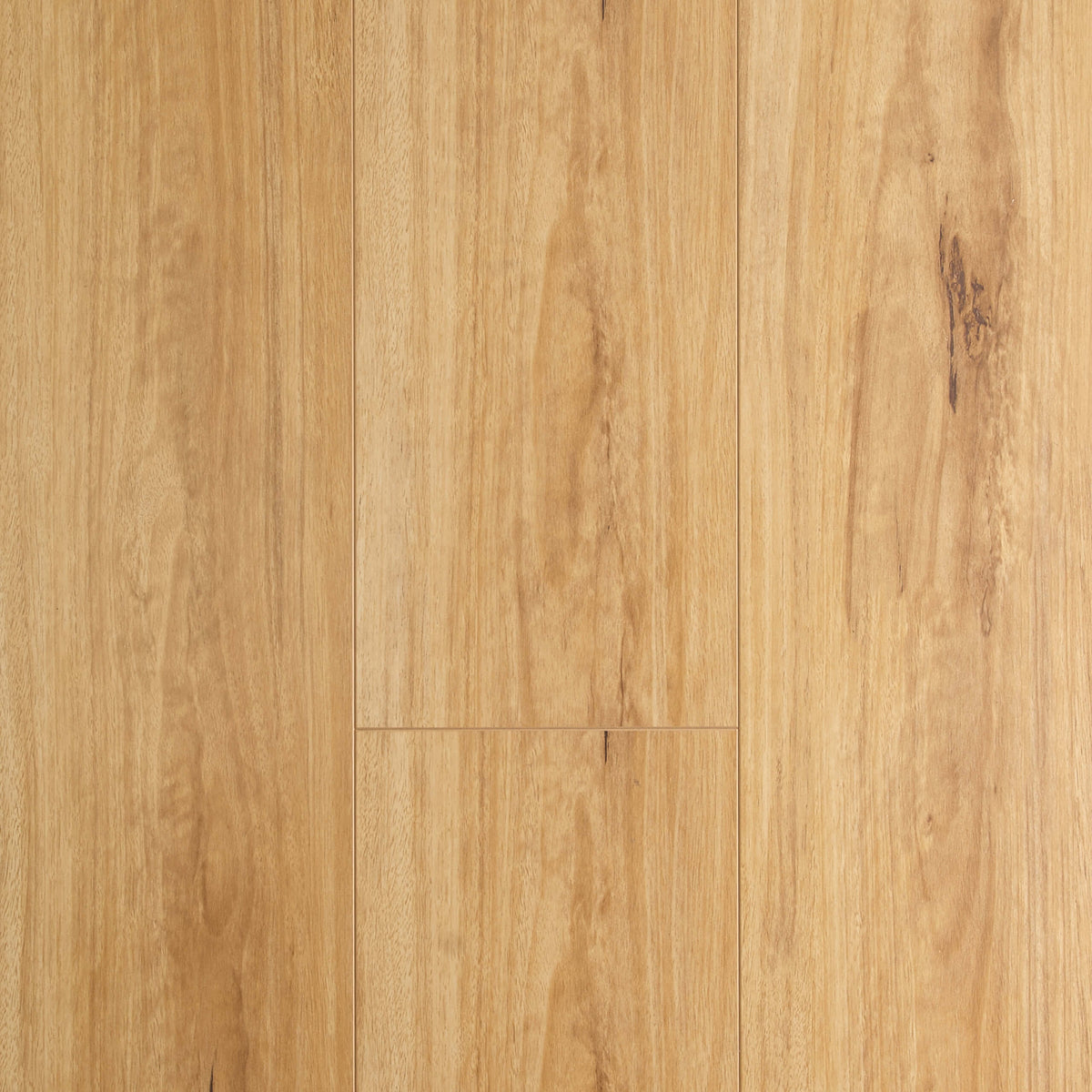 Blackbutt laminate flooring 1215x195mm by Tilemall with matte finish and natural grain detail