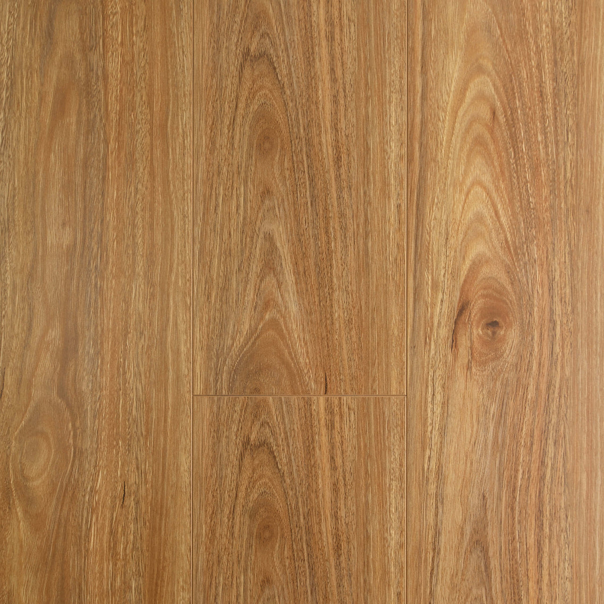 Spotted Gum laminate flooring 1215x195mm plank by Tilemall with matte finish and wood grain detail