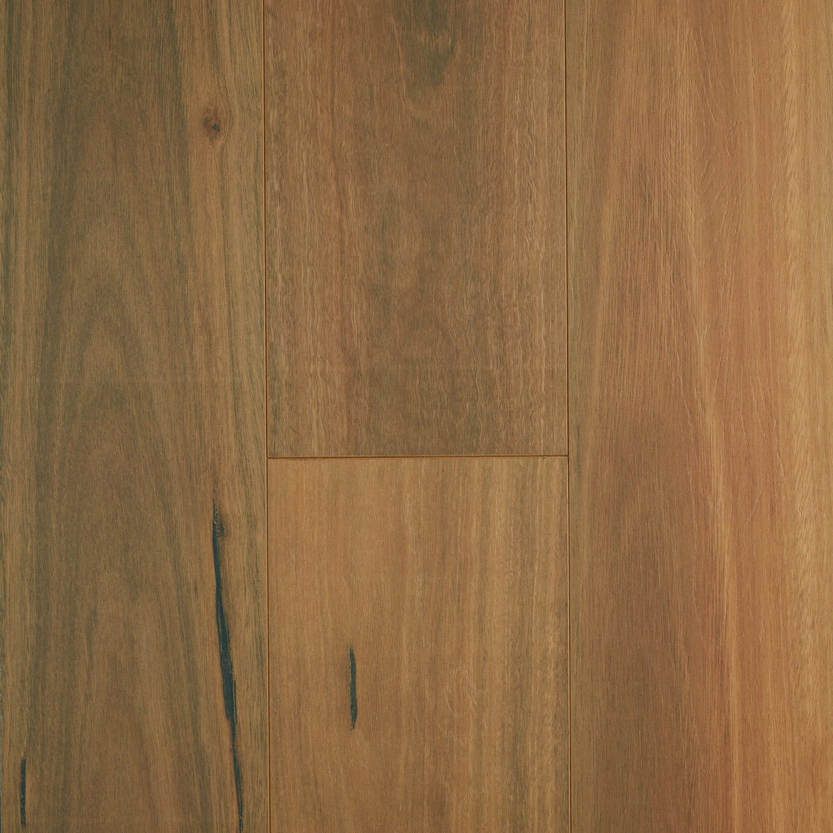 Spotted Gum laminate flooring 1215x195mm with matte finish and timber grain texture by Tilemall