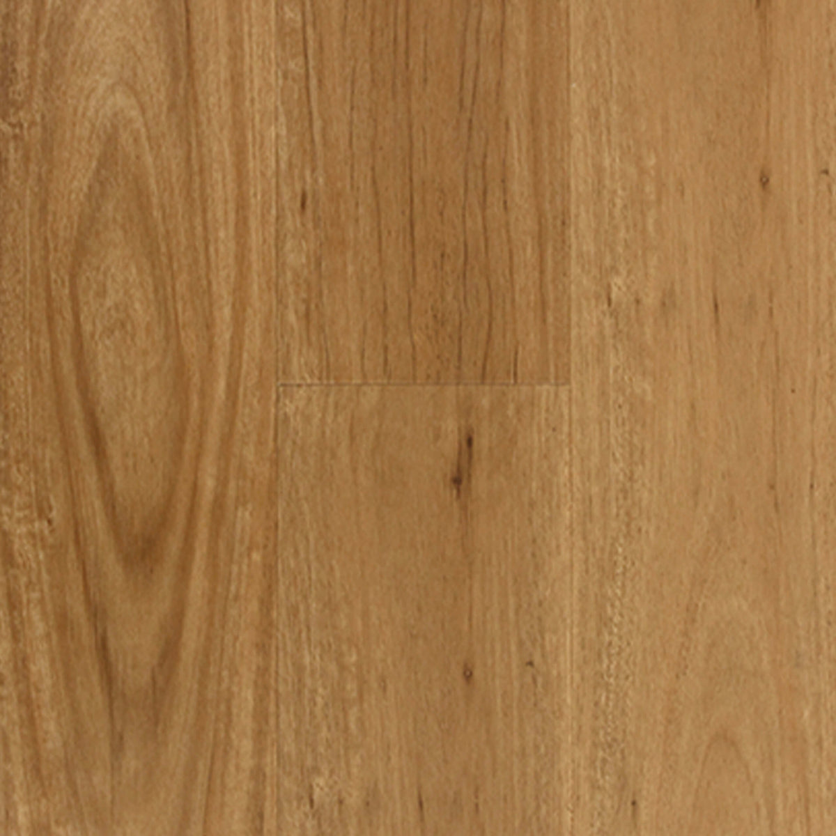 Coastal Blackbutt hybrid flooring 1800x178mm plank by Tilemall with matte finish and timber grain detail