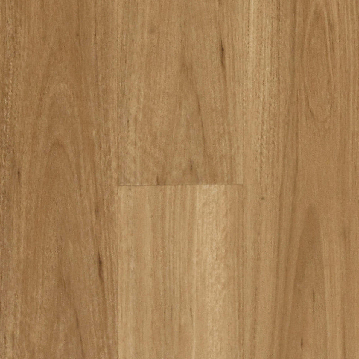 Blackbutt hybrid flooring 1800x178mm plank by Tilemall with matte timber grain finish