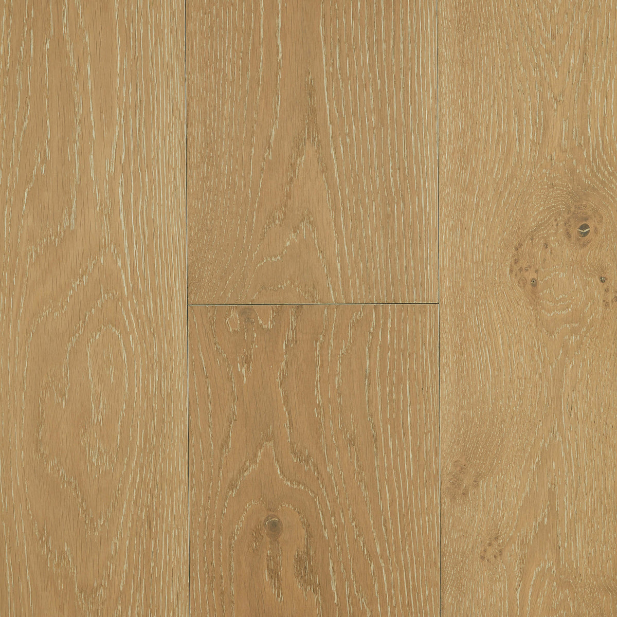 Cannes European Oak engineered flooring 2200x220mm with matte finish and wire-brushed grain by Tilemall