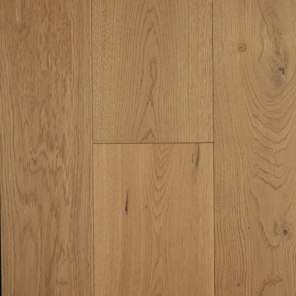 Champagne European Oak engineered flooring 2200x220mm planks with matte finish and natural grain by Tilemall