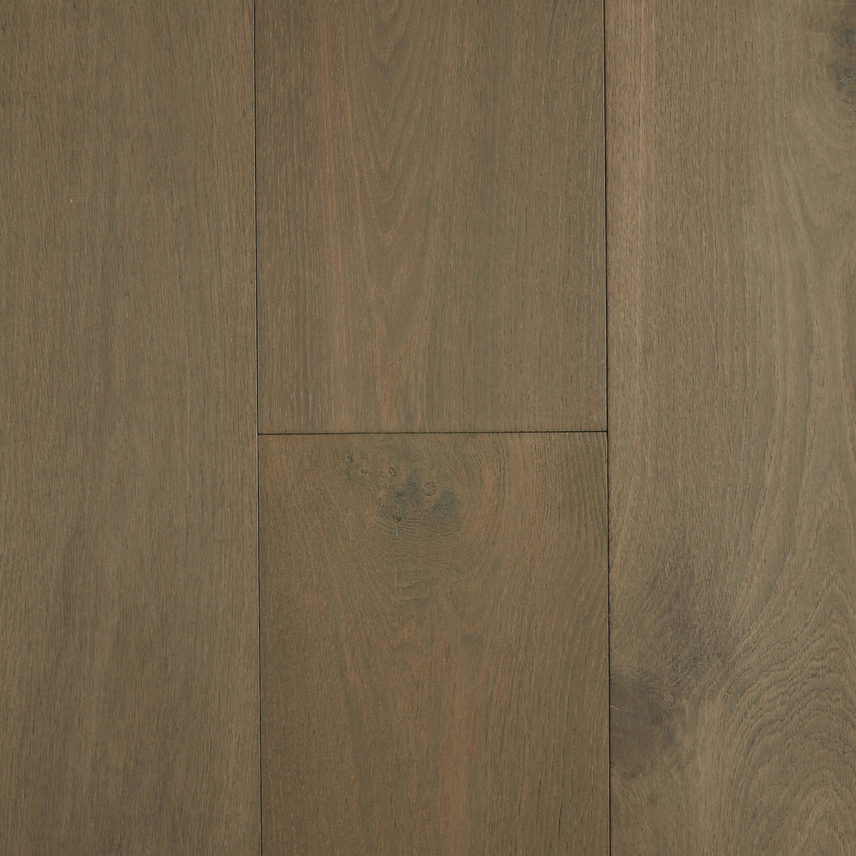 Dover Grey European Oak engineered flooring 2200x220mm with matte finish and timber grain by Tilemall