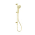 Nero 3 Function Shower Rail Brushed Gold