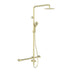 Nero Mecca Care 32mm T Bar Grab Rail 1100x750mm Twin Shower Set Brushed Gold