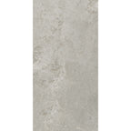 Cosmic 1200x600 Matt Silver Stone Look